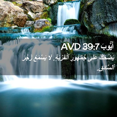 Picture 02 - أَيُّوبَ 39:7 AVD - يَضْحَكُ عَلَى جُمْهُورِ - Bible Verse Picture