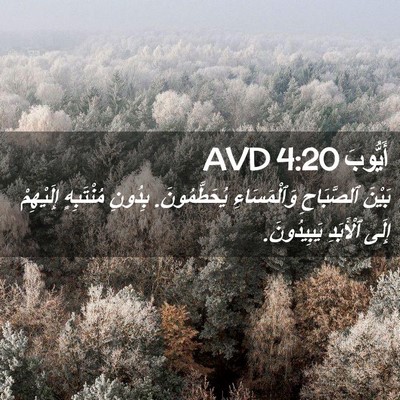 Picture 02 - أَيُّوبَ 4:20 AVD - بَيْنَ ٱلصَّبَاحِ - Bible Verse Picture