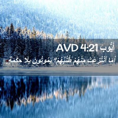Picture 02 - أَيُّوبَ 4:21 AVD - أَمَا ٱنْتُزِعَتْ - Bible Verse Picture