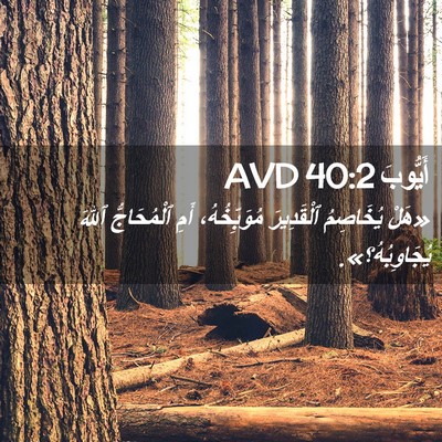 Picture 02 - أَيُّوبَ 40:2 AVD - «هَلْ يُخَاصِمُ - Bible Verse Picture