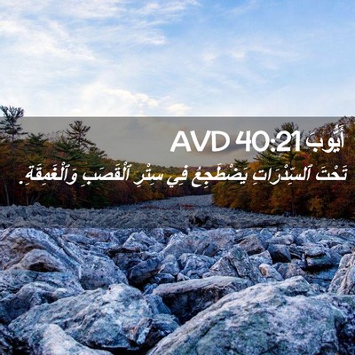 Picture 02 - أَيُّوبَ 40:21 AVD - تَحْتَ ٱلسِّدْرَاتِ - Bible Verse Picture
