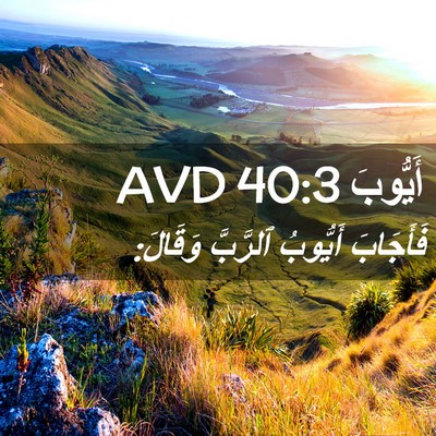 Picture 02 - أَيُّوبَ 40:3 AVD - فَأَجَابَ أَيُّوبُ - Bible Verse Picture