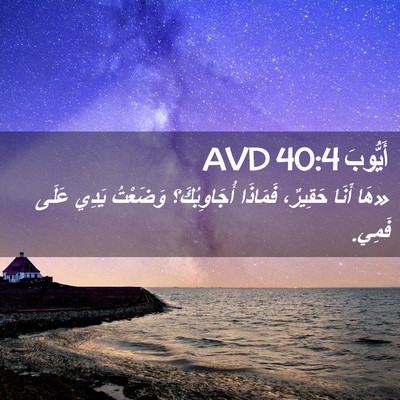 Picture 02 - أَيُّوبَ 40:4 AVD - «هَا أَنَا حَقِيرٌ، - Bible Verse Picture