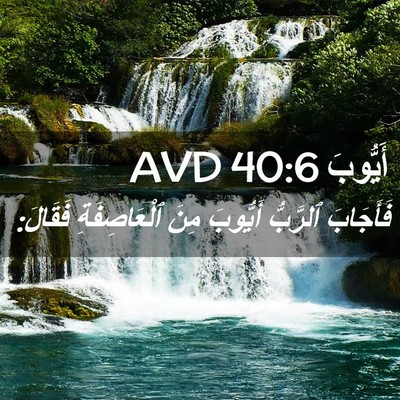 Picture 02 - أَيُّوبَ 40:6 AVD - فَأَجَابَ ٱلرَّبُّ - Bible Verse Picture