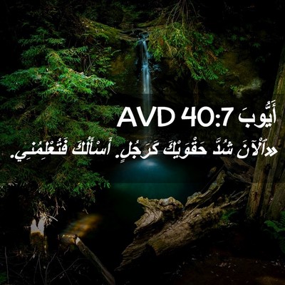 Picture 02 - أَيُّوبَ 40:7 AVD - «ٱلْآنَ شُدَّ حَقْوَيْكَ - Bible Verse Picture