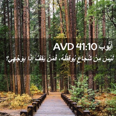 Picture 02 - أَيُّوبَ 41:10 AVD - لَيْسَ مِنْ شُجَاعٍ - Bible Verse Picture