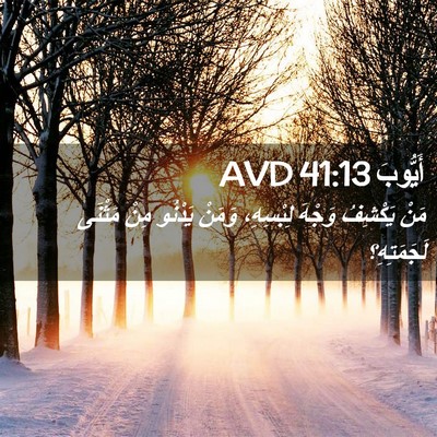 Picture 02 - أَيُّوبَ 41:13 AVD - مَنْ يَكْشِفُ وَجْهَ - Bible Verse Picture