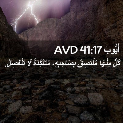 Picture 02 - أَيُّوبَ 41:17 AVD - كُلٌّ مِنْهَا مُلْتَصِقٌ - Bible Verse Picture