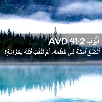 Picture 02 - أَيُّوبَ 41:2 AVD - أَتَضَعُ أَسَلَةً فِي - Bible Verse Picture