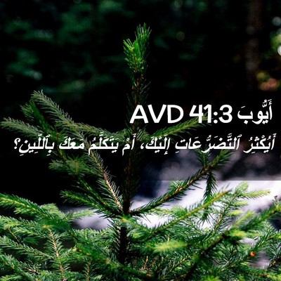 Picture 02 - أَيُّوبَ 41:3 AVD - أَيُكْثِرُ - Bible Verse Picture