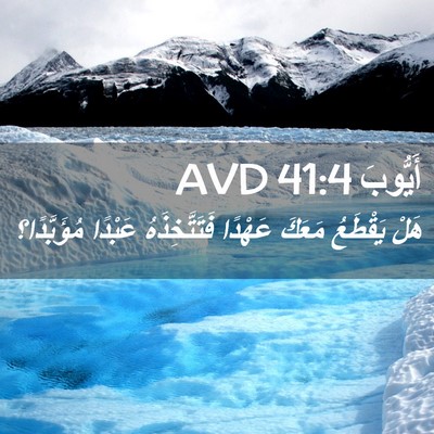 Picture 02 - أَيُّوبَ 41:4 AVD - هَلْ يَقْطَعُ مَعَكَ - Bible Verse Picture