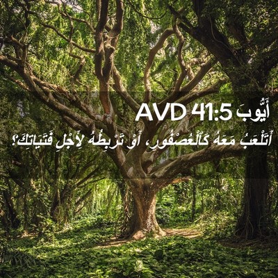 Picture 02 - أَيُّوبَ 41:5 AVD - أَتَلْعَبُ مَعَهُ - Bible Verse Picture