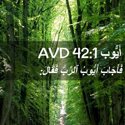 Picture 02 - أَيُّوبَ 42:1 AVD - فَأَجَابَ أَيُّوبُ - Bible Verse Picture