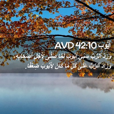 Picture 02 - أَيُّوبَ 42:10 AVD - وَرَدَّ ٱلرَّبُّ سَبْيَ - Bible Verse Picture