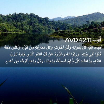 Picture 02 - أَيُّوبَ 42:11 AVD - فَجَاءَ إِلَيْهِ كُلُّ - Bible Verse Picture