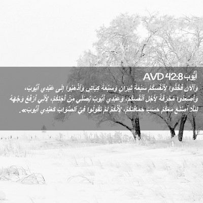 Picture 02 - أَيُّوبَ 42:8 AVD - وَٱلْآنَ فَخُذُوا - Bible Verse Picture