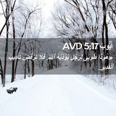 Picture 02 - أَيُّوبَ 5:17 AVD - «هُوَذَا طُوبَى لِرَجُلٍ - Bible Verse Picture