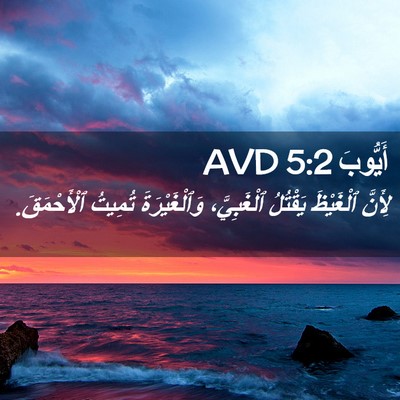 Picture 02 - أَيُّوبَ 5:2 AVD - لِأَنَّ ٱلْغَيْظَ - Bible Verse Picture