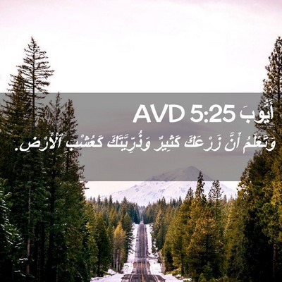 Picture 02 - أَيُّوبَ 5:25 AVD - وَتَعْلَمُ أَنَّ زَرْعَكَ - Bible Verse Picture