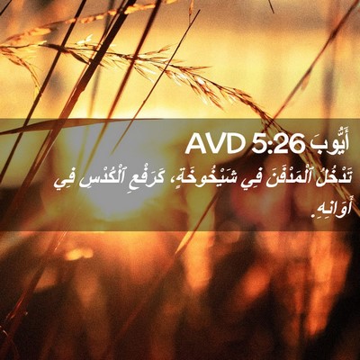 Picture 02 - أَيُّوبَ 5:26 AVD - تَدْخُلُ ٱلْمَدْفَنَ فِي - Bible Verse Picture