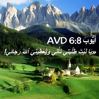 Picture 02 - أَيُّوبَ 6:8 AVD - «يَا لَيْتَ طِلْبَتِي - Bible Verse Picture