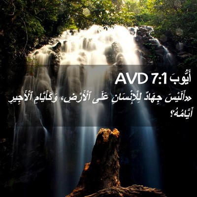 Picture 02 - أَيُّوبَ 7:1 AVD - «أَلَيْسَ جِهَادٌ - Bible Verse Picture
