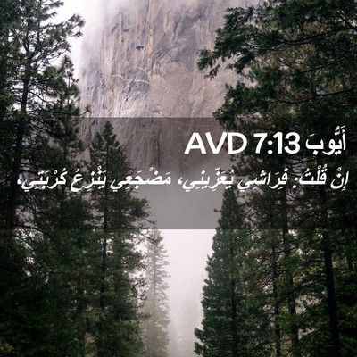 Picture 02 - أَيُّوبَ 7:13 AVD - إِنْ قُلْتُ: فِرَاشِي - Bible Verse Picture