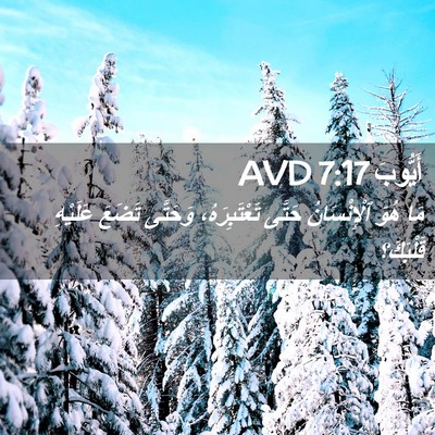 Picture 02 - أَيُّوبَ 7:17 AVD - مَا هُوَ ٱلْإِنْسَانُ - Bible Verse Picture