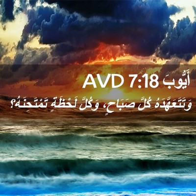 Picture 02 - أَيُّوبَ 7:18 AVD - وَتَتَعَهَّدَهُ كُلَّ - Bible Verse Picture