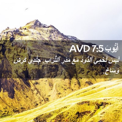 Picture 02 - أَيُّوبَ 7:5 AVD - لَبِسَ لَحْمِيَ ٱلدُّودُ - Bible Verse Picture