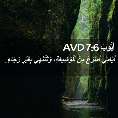 Picture 02 - أَيُّوبَ 7:6 AVD - أَيَّامِي أَسْرَعُ مِنَ - Bible Verse Picture