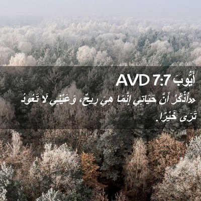 Picture 02 - أَيُّوبَ 7:7 AVD - «اُذْكُرْ أَنَّ حَيَاتِي - Bible Verse Picture