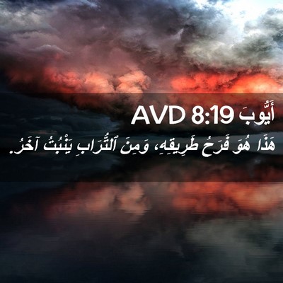 Picture 02 - أَيُّوبَ 8:19 AVD - هَذَا هُوَ فَرَحُ - Bible Verse Picture