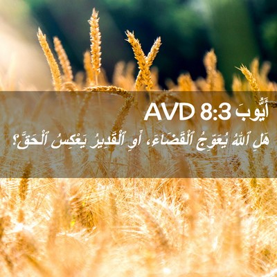 Picture 02 - أَيُّوبَ 8:3 AVD - هَلِ ٱللهُ يُعَوِّجُ - Bible Verse Picture