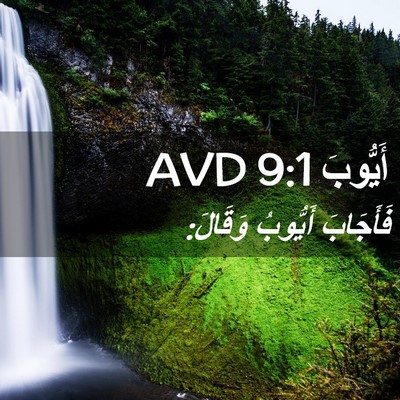 Picture 02 - أَيُّوبَ 9:1 AVD - فَأَجَابَ أَيُّوبُ - Bible Verse Picture