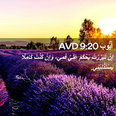 Picture 02 - أَيُّوبَ 9:20 AVD - إِنْ تَبَرَّرْتُ يَحْكُمُ - Bible Verse Picture