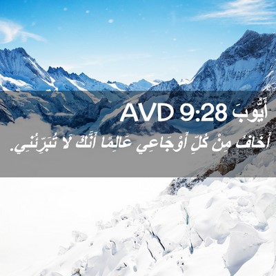 Picture 02 - أَيُّوبَ 9:28 AVD - أَخَافُ مِنْ كُلِّ - Bible Verse Picture