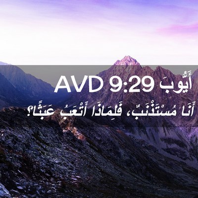 Picture 02 - أَيُّوبَ 9:29 AVD - أَنَا مُسْتَذْنَبٌ، - Bible Verse Picture