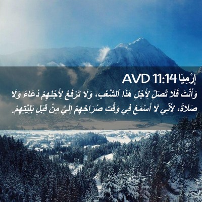 Picture 02 - إِرْمِيَا 11:14 AVD - وَأَنْتَ فَلَا تُصَلِّ - Bible Verse Picture