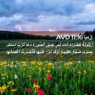 Picture 02 - إِرْمِيَا 11:16 AVD - زَيْتُونَةً خَضْرَاءَ - Bible Verse Picture