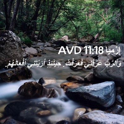 Picture 02 - إِرْمِيَا 11:18 AVD - وَٱلرَّبُّ عَرَّفَنِي - Bible Verse Picture