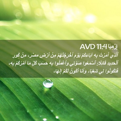 Picture 02 - إِرْمِيَا 11:4 AVD - ٱلَّذِي أَمَرْتُ بِهِ - Bible Verse Picture