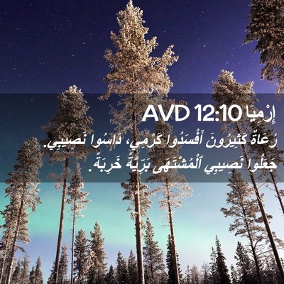 Picture 02 - إِرْمِيَا 12:10 AVD - رُعَاةٌ كَثِيرُونَ - Bible Verse Picture