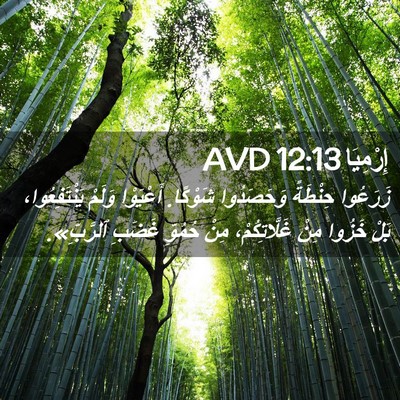 Picture 02 - إِرْمِيَا 12:13 AVD - زَرَعُوا حِنْطَةً - Bible Verse Picture
