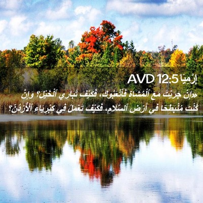 Picture 02 - إِرْمِيَا 12:5 AVD - «إِنْ جَرَيْتَ مَعَ - Bible Verse Picture