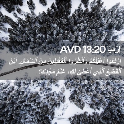 Picture 02 - إِرْمِيَا 13:20 AVD - اِرْفَعُوا أَعْيُنَكُمْ - Bible Verse Picture