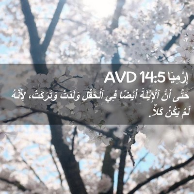 Picture 02 - إِرْمِيَا 14:5 AVD - حَتَّى أَنَّ ٱلْإِيَّلَةَ - Bible Verse Picture