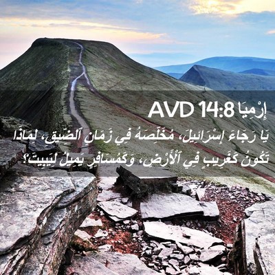 Picture 02 - إِرْمِيَا 14:8 AVD - يَا رَجَاءَ إِسْرَائِيلَ، - Bible Verse Picture