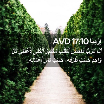 Picture 02 - إِرْمِيَا 17:10 AVD - أَنَا ٱلرَّبُّ فَاحِصُ - Bible Verse Picture