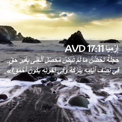 Picture 02 - إِرْمِيَا 17:11 AVD - حَجَلَةٌ تَحْضُنُ مَا لَمْ - Bible Verse Picture